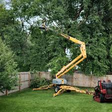 Best Stump Grinding and Removal  in Woodbury Heights, NJ