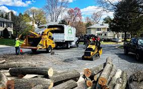 Best Commercial Tree Services  in Woodbury Heights, NJ